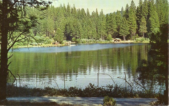 Lake Vera Postcard (color)